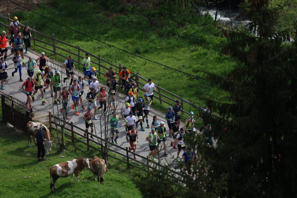 Runners crossing the wooden bridge
